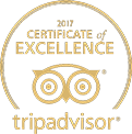 Unforgettable experiences at the hotel